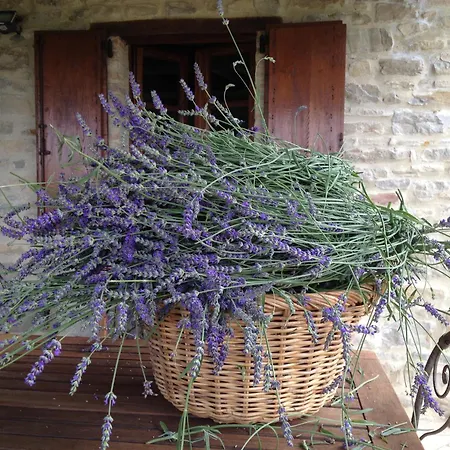 度假居 Umbrian Retreat In With A Pool *